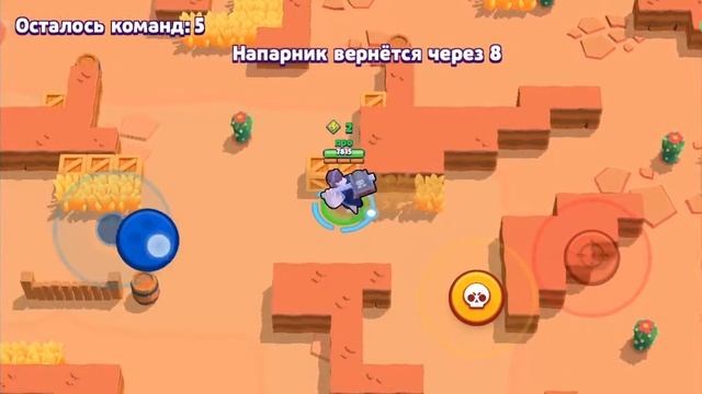 Браво стара играю с братом