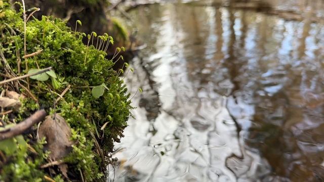 F6be990d37c751c9acce545a076efc0a