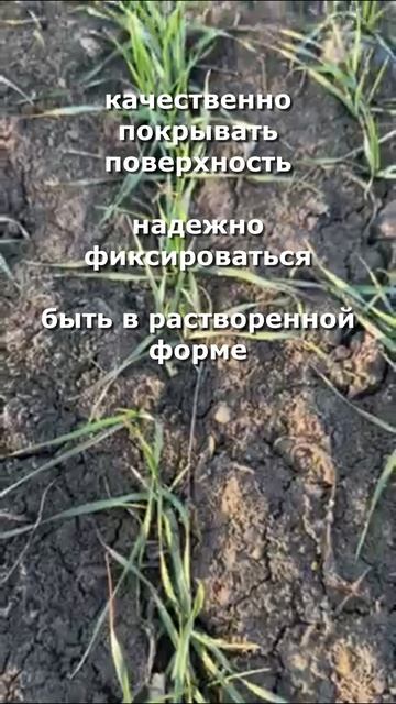 Вуксал Р Мах