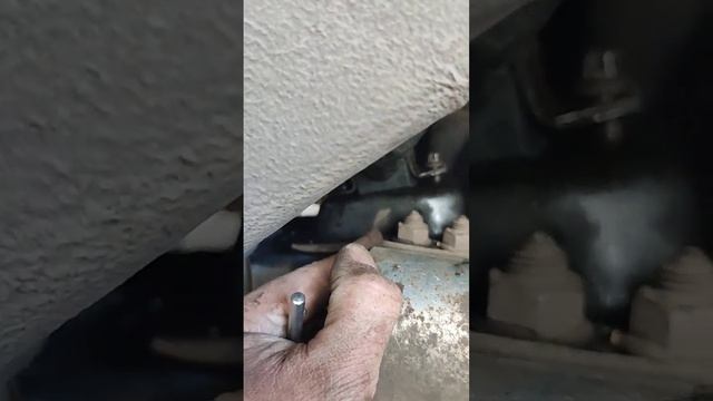 Искренние цветы