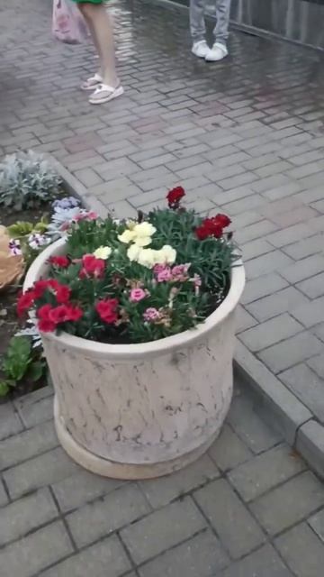 прогулка в Горячем Ключе, фонтанчик и красивая клумба