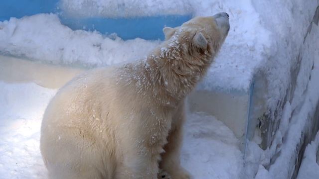 B99911579b9827e29828b9cb55b64b65