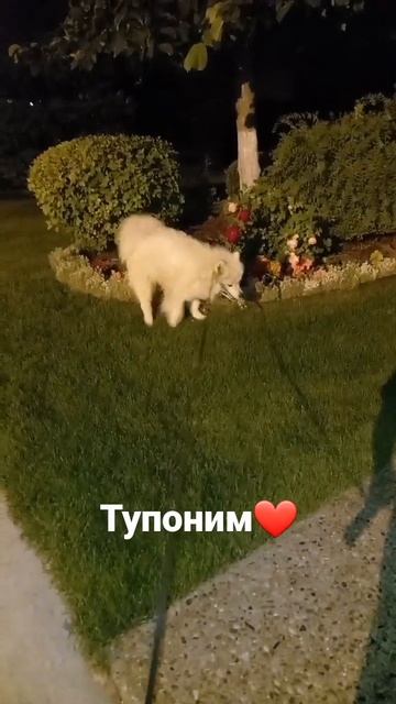 8378df515131f061a97b41b700872224