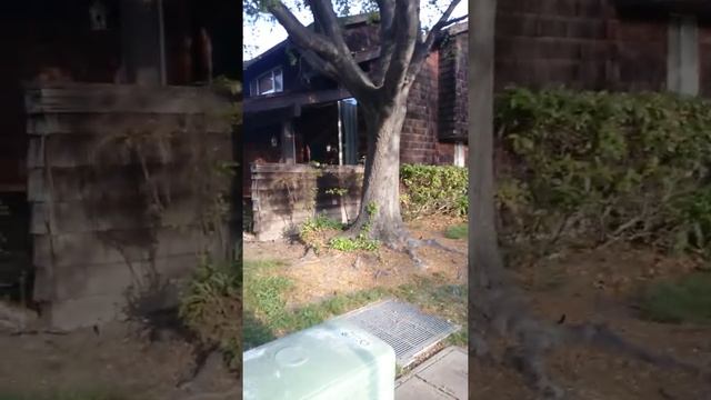 Ca49270de844c643ba9c274a8709d989