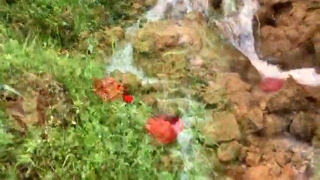 581ecafa8aba88e1c232e1c000fb28a4