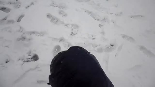 Снег в Баку  01 02 2017