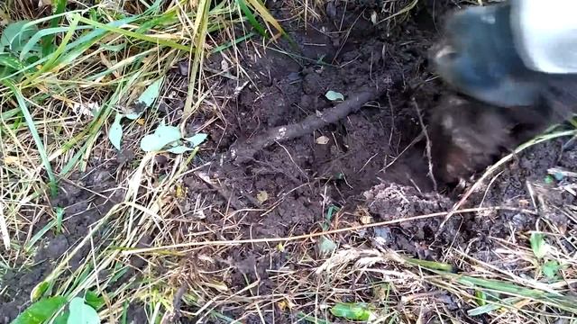 Коп металла! 🚜 Вот это находка🤑