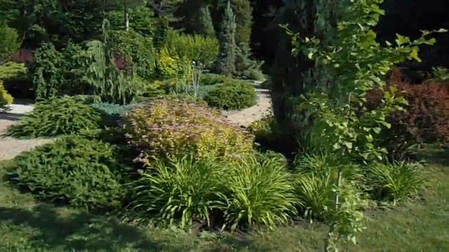 Гуляли по Донецку и попали в ботанический сад