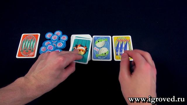Кошки-рыбки. Обзор настольной игры от компании Стиль Жизни