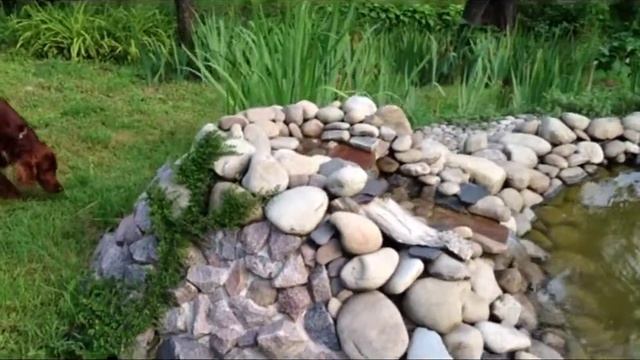 Звонковое, видеообзор 15.07.2014 г.