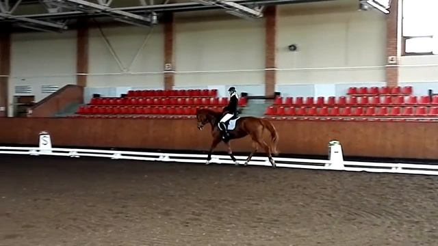 C8306c202b3ae3f10b0a6a7d8a77a7c8