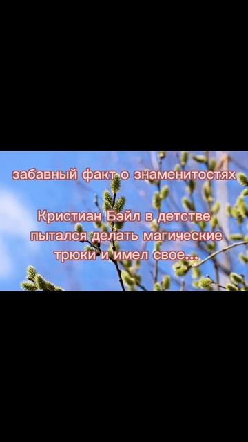 КРИСТИАН БЭЙЛ В ДЕТСТВЕ ДЕЛАЛ МАГИЧЕСКИЕ ТРЮКИ И... #знаменитости #факт #celebrity #shorts