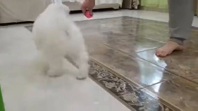 29 ноября 2020 г.