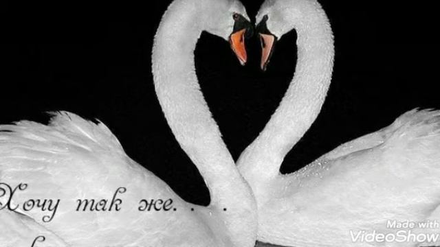 Тест на любовь.