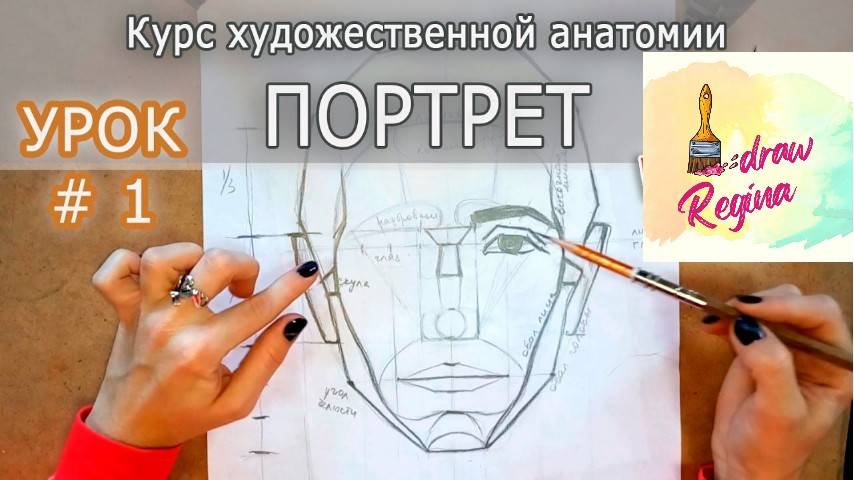 Как нарисовать портрет_ ПОЛНЫЙ РАЗБОР! Пропорции головы и лица. Анатомия.