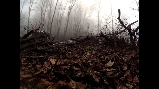 3f26e5f6c8414e278a644ae179bbaa53