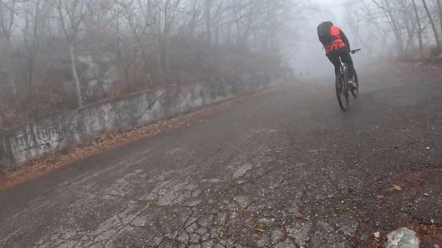 7 ноября 2023 г.