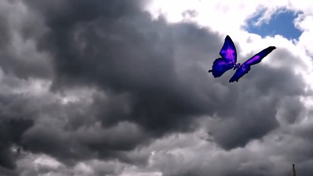 473213d61f631f4d8add3d933f2de37a