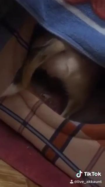 F6e56b77c52a91a82ced276b092dab3d