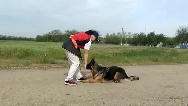 Вирт выставка, подростки, стойка