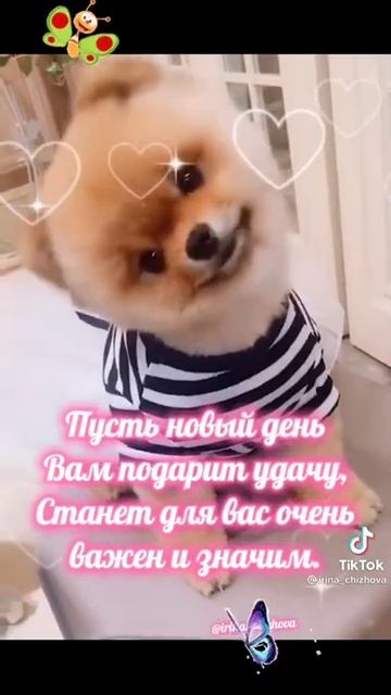 11 октября 2021 г.