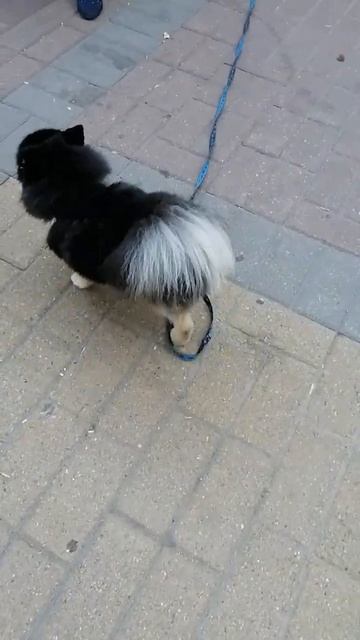 1e895612ed4083a7a3ab91aabbe042da