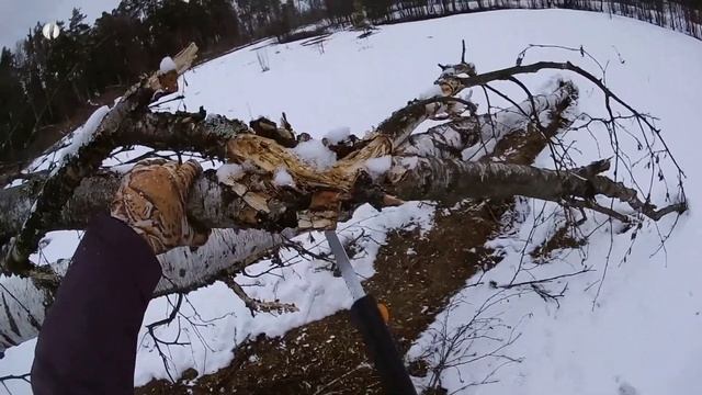 ПРОГУЛКА С МАГНИТОМ поисковый сезон открыт