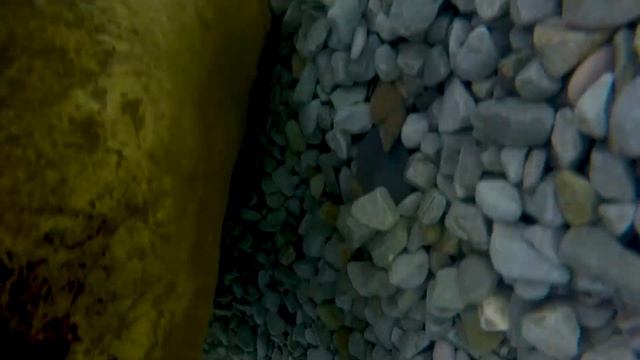 подводный мир 🐟