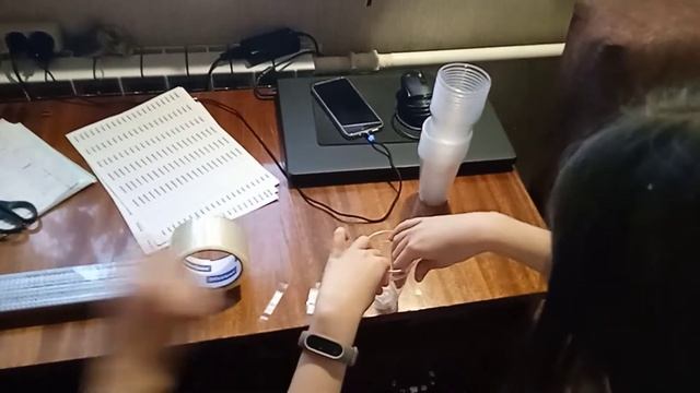 подготовка стаканчиков для рассады клубники