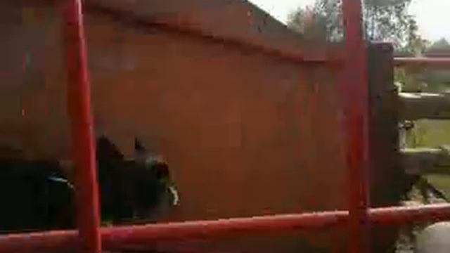 Общий трюк с колесом или 