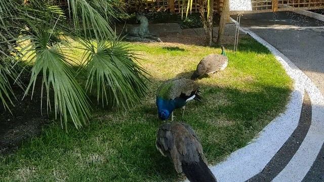 0ed5595b97690ad62b45ad3e04809f43