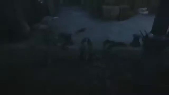 10 самых ожидаемых игр 2016-2017 года