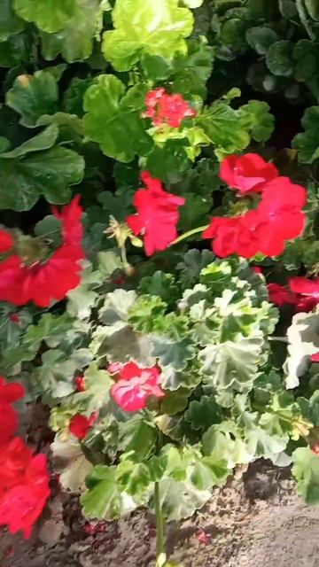 C837fd626378cde494560b13d339b602