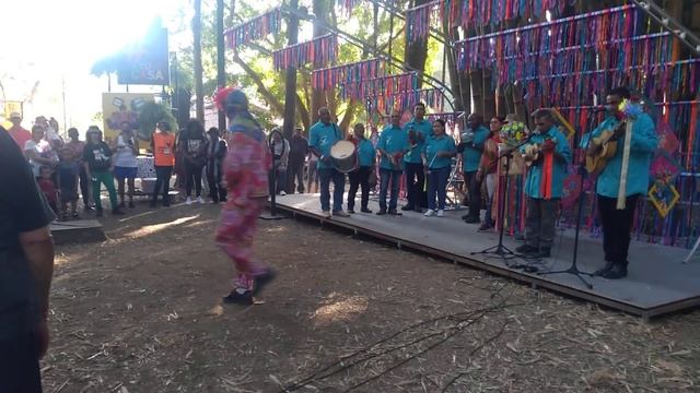 Música Tradicional Brasileira No Revelando SP. /5\ Традиционная бразильская музыка на Ревеландо СП.