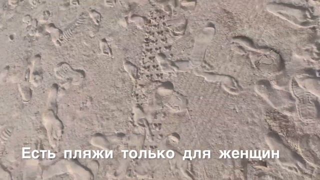 Обзор на пляж в Абу-Даби. Бесплатный пляж. Abu-Dhabi Beach. Путешествие по ОАЭ. Дубай что посмотрет