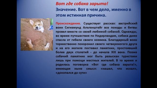 27 05 2020 Русский язык 5класс