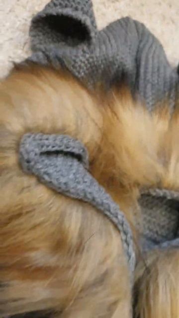 4b46babf178ee053155ffa78fa5abf2a