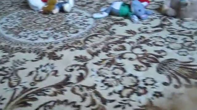 Матвей Из Усадьбы Андреевых