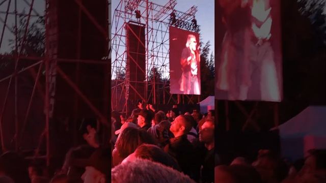 Алиса. Кинчев. Фавор. Окна открой 2024