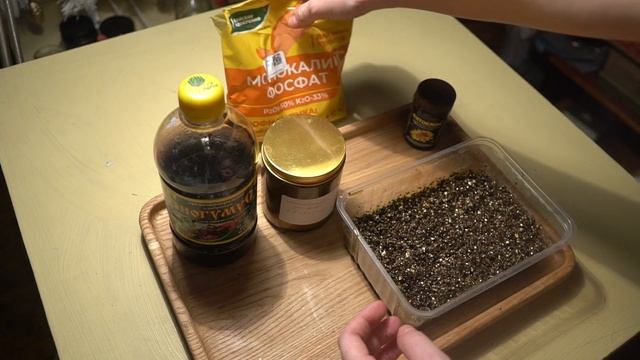 КАК ВЫРАСТИТЬ ЗАМИОКУЛЬКАС ИЗ ЛИСТИКА? СЕКРЕТЫ ДЛЯ БЫ?