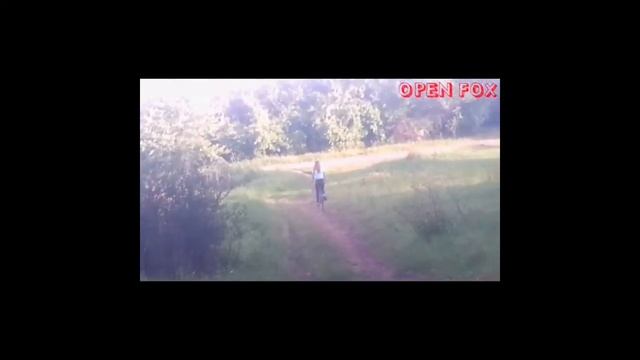 Что делать летом?