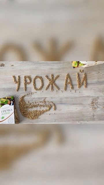 Новый урожай ждёте?) #урожай #гречка #зерновые #тренды