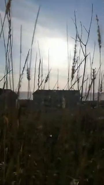 Вид село Ильинское, Сахалинская область.