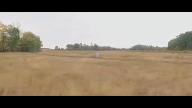 Репортаж с предпремьерного показа клипа Рутгера Гарехта 