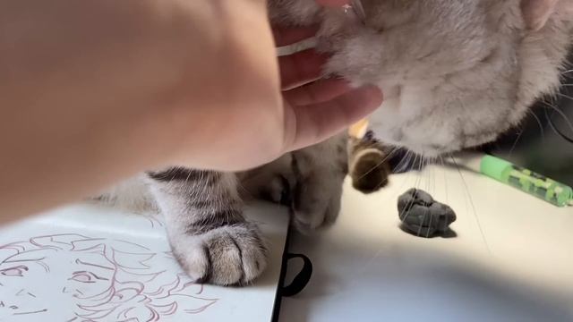 редрав старых скетчбучных разворотов и шуточки про практику