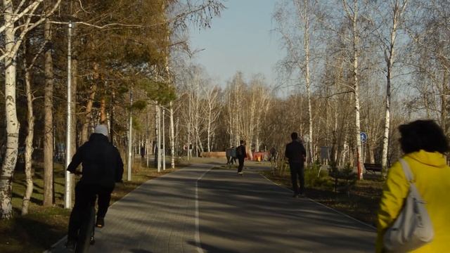 прогулка по советскому парку