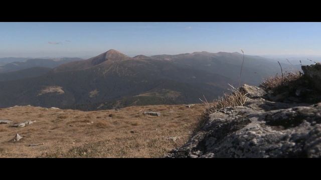 22db148cf34a4129c2f24c9dd0759d37