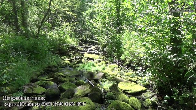 Разведка Мостовушка