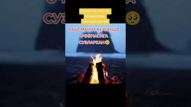 кабр майит келганда очикчасига сузларкан🥺