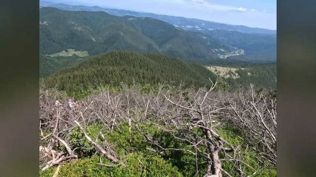 Восхождение на гору Хомяк.